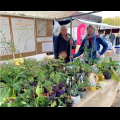 plantjesmarkt.png