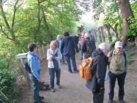 Dauwtrappen_2024_3.JPG