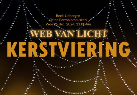 Kerstviering_december_2024_Web_van_Licht.jpg