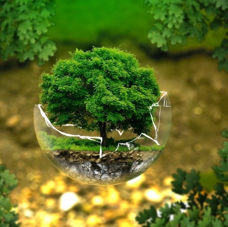 environmental_protection.jpg