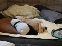Kinderkerkweekend_8.JPG
